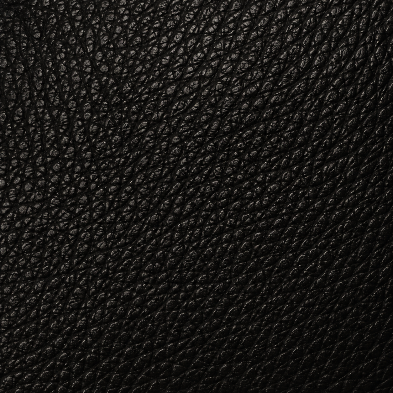 Pebbled / Palmellato