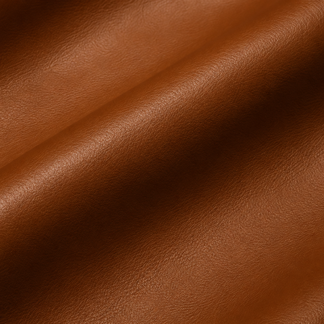 Smooth Leather
