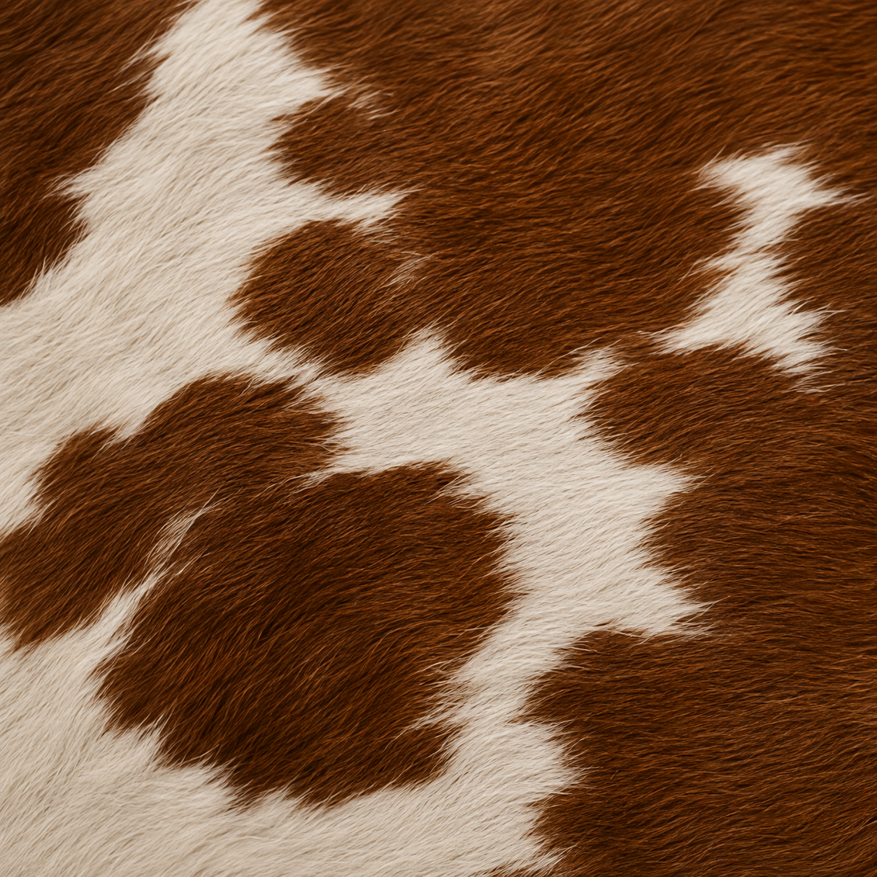 Pony Hair / Cavallino